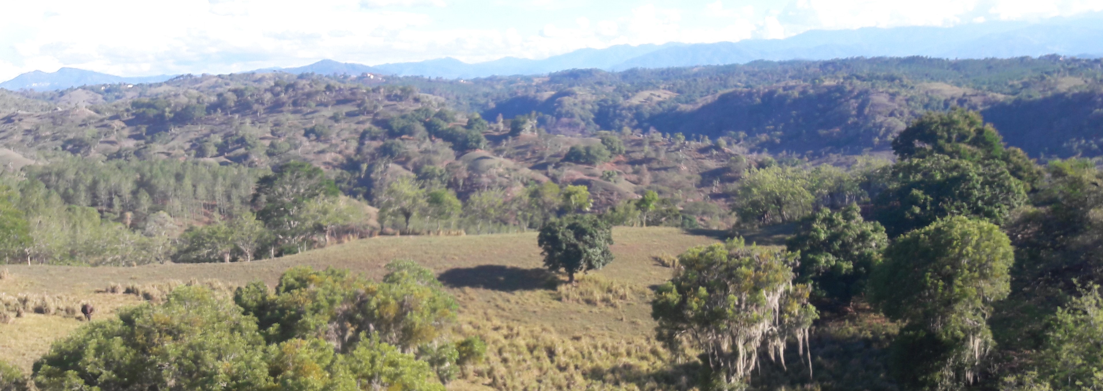 Sistema de Información Territorial